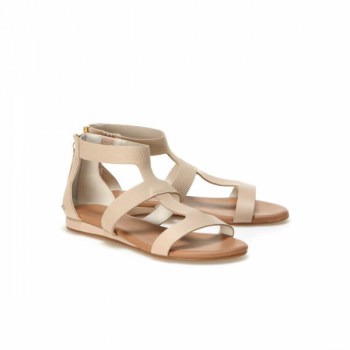 11_31caw0102_a75_02_1